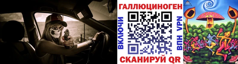 Псилоцибиновые грибы GOLDEN TEACHER  blacksprut маркетплейс  Котельнич  дарнет шоп 