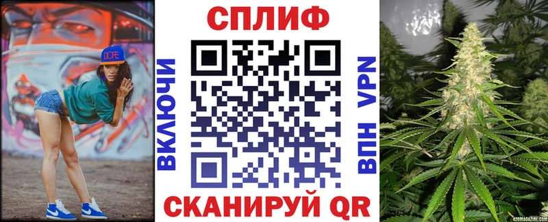 сколько стоит  Котельнич  Конопля индика 